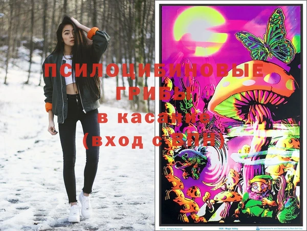 кокаин Богородицк