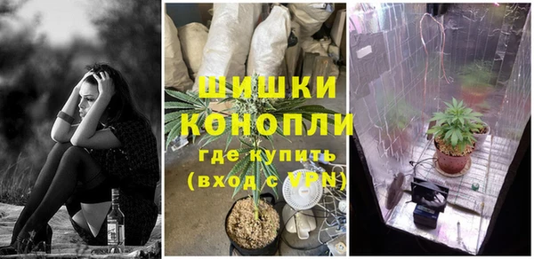 2c-b Богданович