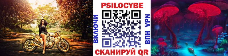 Псилоцибиновые грибы Psilocybe  Дедовск 