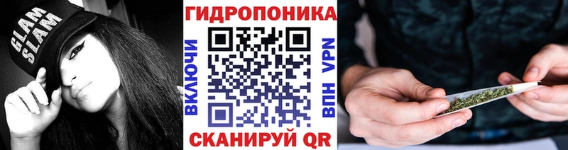 Бошки марихуана семена  наркота  Дедовск 